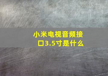 小米电视音频接口3.5寸是什么