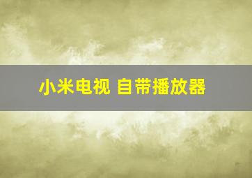 小米电视 自带播放器