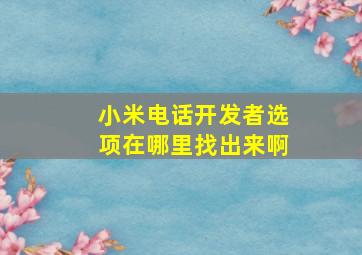 小米电话开发者选项在哪里找出来啊