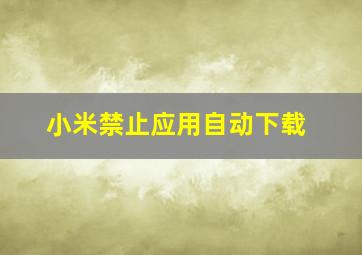 小米禁止应用自动下载