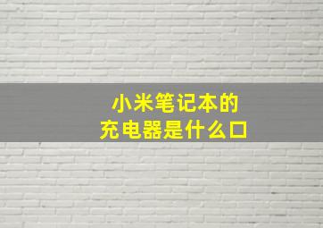 小米笔记本的充电器是什么口