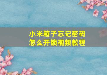 小米箱子忘记密码怎么开锁视频教程