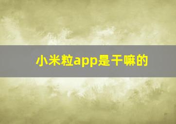 小米粒app是干嘛的