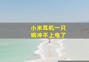 小米耳机一只响冲不上电了