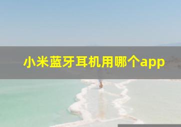 小米蓝牙耳机用哪个app