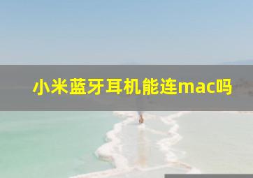 小米蓝牙耳机能连mac吗