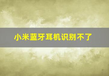 小米蓝牙耳机识别不了