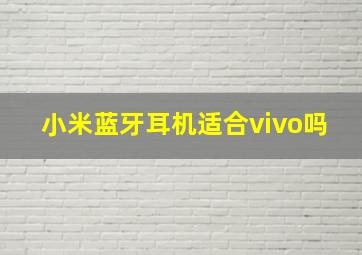 小米蓝牙耳机适合vivo吗