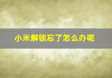 小米解锁忘了怎么办呢