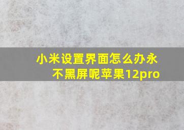 小米设置界面怎么办永不黑屏呢苹果12pro