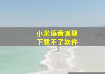 小米语音唤醒下载不了软件