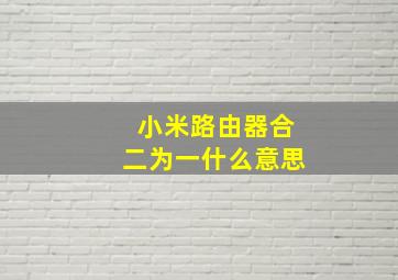 小米路由器合二为一什么意思