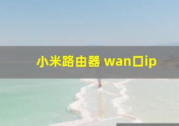 小米路由器 wan口ip