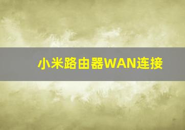 小米路由器WAN连接