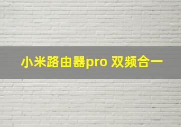 小米路由器pro 双频合一