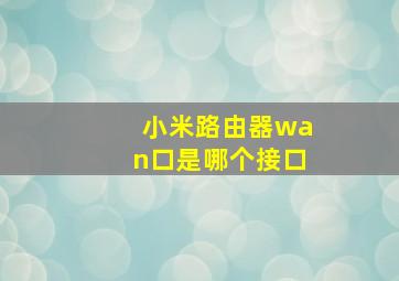 小米路由器wan口是哪个接口