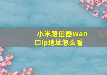 小米路由器wan口ip地址怎么看