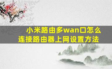 小米路由多wan口怎么连接路由器上网设置方法