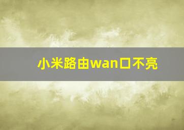 小米路由wan口不亮