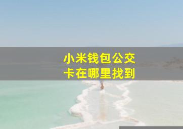 小米钱包公交卡在哪里找到