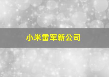 小米雷军新公司