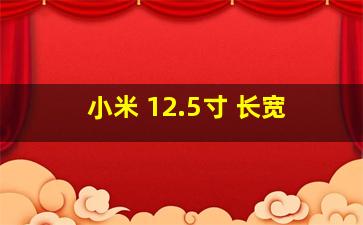 小米 12.5寸 长宽