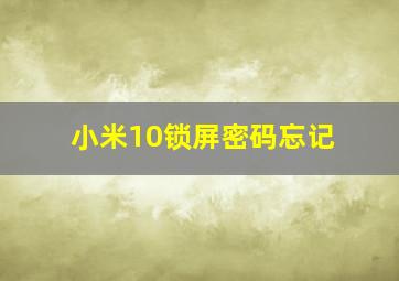 小米10锁屏密码忘记