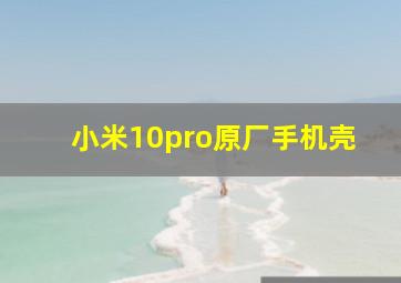 小米10pro原厂手机壳