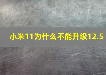 小米11为什么不能升级12.5