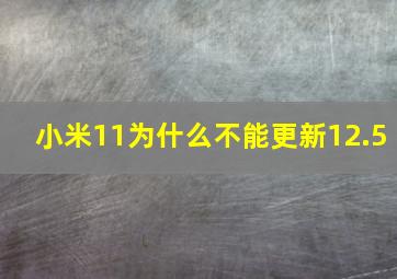 小米11为什么不能更新12.5