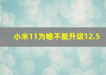 小米11为啥不能升级12.5