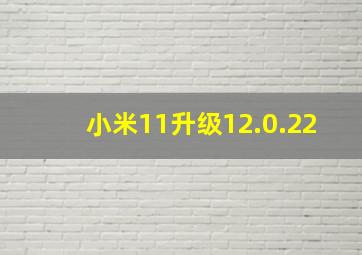 小米11升级12.0.22