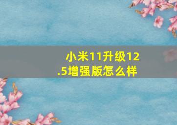 小米11升级12.5增强版怎么样