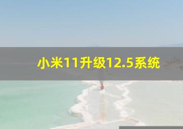 小米11升级12.5系统