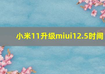 小米11升级miui12.5时间