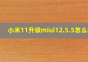 小米11升级miui12.5.5怎么样