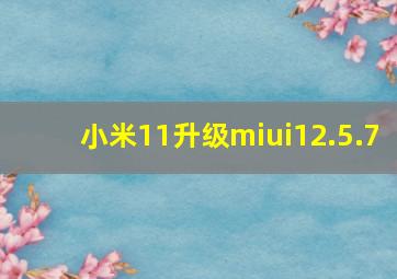 小米11升级miui12.5.7