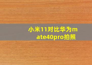 小米11对比华为mate40pro拍照