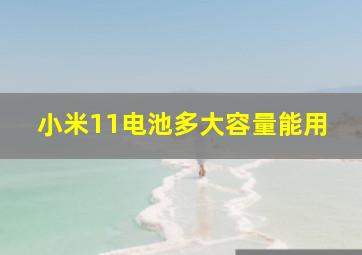 小米11电池多大容量能用