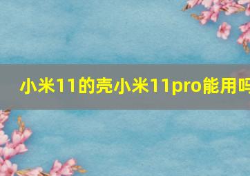 小米11的壳小米11pro能用吗