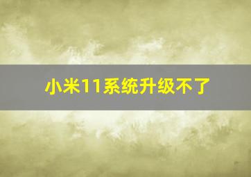 小米11系统升级不了