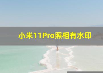 小米11Pro照相有水印