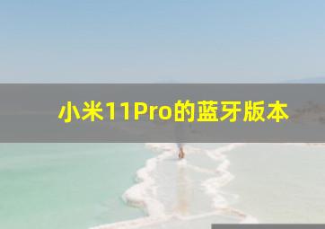 小米11Pro的蓝牙版本