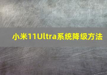 小米11Ultra系统降级方法