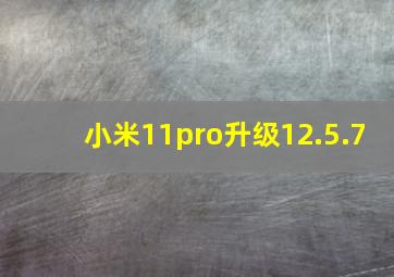 小米11pro升级12.5.7