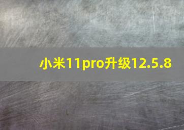 小米11pro升级12.5.8