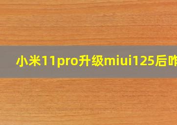 小米11pro升级miui125后咋样