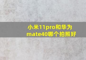 小米11pro和华为mate40哪个拍照好