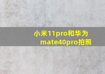 小米11pro和华为mate40pro拍照