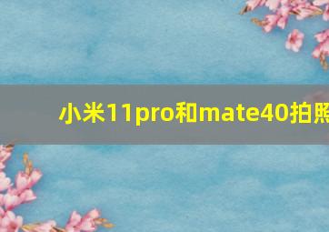 小米11pro和mate40拍照